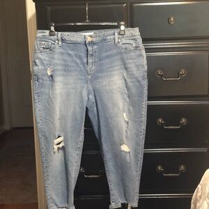 Lane Bryant Blue Boyfriend Jeans with Modern Distressing